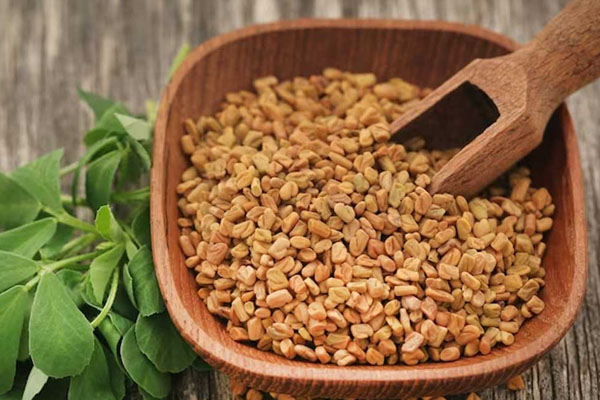 உடலில் தொப்பையை குறைக்கும் மூலிகை | Herb That Reduces Belly Fat In The Body