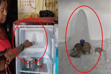 குளிர்சாதன பெட்டியில் உருவான சிவலிங்கம்; பார்க்க படையெடுக்கும் மக்கள்