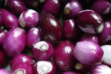 சின்ன வெங்காயம் தினமும் சாப்பிட்டால் என்ன நடக்கும் தெரியுமா?