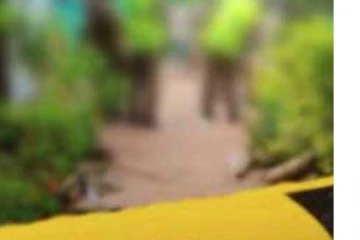 නිවසක් කොල්ලකෑමට ගොස් එලිවෙන තුරුම නින්ද ගිය සොරුන්..