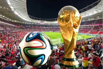 FIFA உலகக் கோப்பை 2022: கத்தாரில் புலம்பெயர்ந்த தொழிலாளி மரணம்