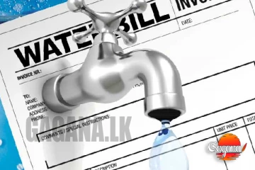 හිටපු මන්ත්‍රීවරු පිරිසක් ජල විදුලි බිලට පොලු තියලා