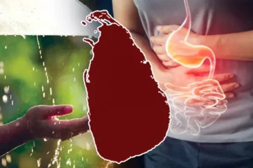 தொடரும் மழையினால் ஏற்படவுள்ள நோய் அபாயம்: பொதுமக்களுக்கு எச்சரிக்கை