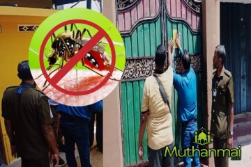 சாய்ந்தமருதில் டெங்கு களத்தடுப்பு நடவடிக்கை