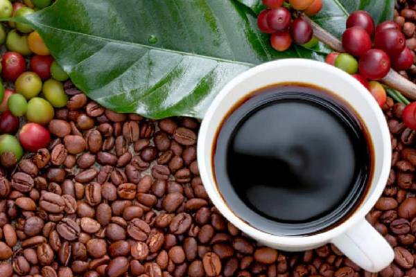 international coffee day: நீங்களும் காபி பிரியரா? காபி கண்டுபிடிக்கப்பட்டது இப்படி தானாம்! | Histrory Of International Coffee Day October 1