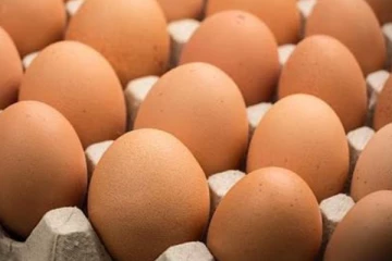 උත්සව සමයේ බිත්තරවලට සිදුවන දේ..