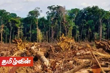 காடழிப்புக்கு எதிரான நடவடிக்கைகளை மேற்கொள்ள ஆழ ஊடுருவும் படைப்பிரிவை அமைப்பதற்கான யோசனை முன்வைப்பு