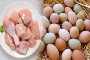 முட்டை மற்றும் கோழி இறைச்சி பிரியர்களுக்கு மகிழ்ச்சியான தகவல்