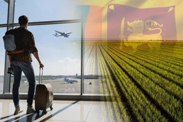 வெளிநாடு செல்வோருக்கு 2 ஏக்கர் காணி: சிறிலங்கா அரசு எடுக்கவுள்ள முடிவு