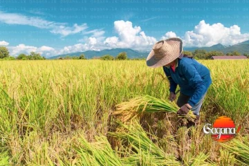 ගොවීන්ට සුබ පණිවිඩයක්