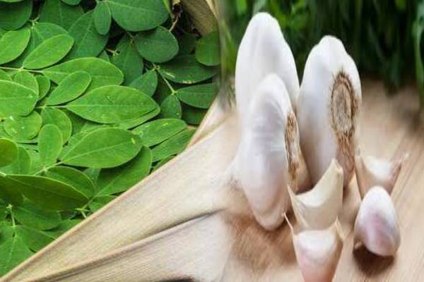 எந்த உணவுடன் எதை சேர்த்தால் ஆரோக்கியம் பெருகும்னு தெரியுமா? விளக்கும் மருத்துவர் | Best Food Combinations To Supercharge Your Health எந்த உணவுடன் எதை சேர்த்தால் ஆரோக்கியம் பெருகும்னு தெரியுமா? விளக்கும் மருத்துவர் | Best Food Combinations To Supercharge Your Health