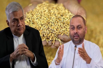 நெல் கொள்வனவிற்கு 50 கோடி நிதி!