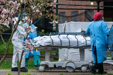 வெளிநாடுகளில் பணியாற்றும் 142 இலங்கையர்கள் கோவிட் தொற்றினால் பலி!