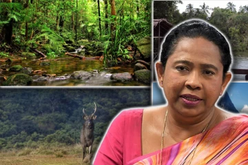 சுற்றுலாத் தலங்களுக்கு வந்துகுவியும் வெளிநாட்டு பயணிகள்