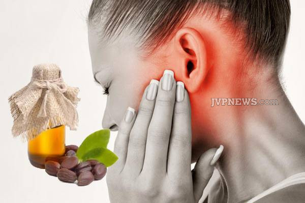 தினமும் இரவில் கடுக்காய் தூள் சாப்பிடுவதால் கிடைக்கும் நன்மைகள் | Benefits Of Consuming Mustard Powder Every Night