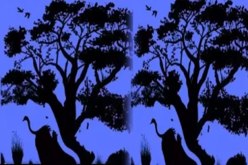 உங்க சுவாரஸ்யமான குணத்தை கண்டுபிடிக்க ஒரு Test: படத்தில் தெரிவது என்ன?