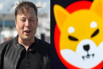 ஒரே ஒரு எலான் மஸ்க் போட்ட டிவீட்டால்.. மளமளவென சரிந்த ஷிபா இனு காயின்! கவலையில் முதலீட்டாளர்கள்