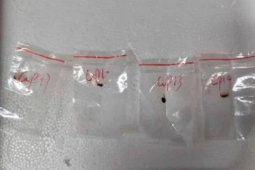 அமெரிக்காவிற்கு சீனா அனுப்பிய சீக்ரெட் வைரஸ் - வெளியான அதிர்ச்சி தகவல்