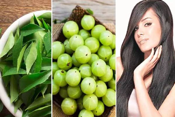 இந்த பொடி இரண்டு கரண்டி போதும்.. இடுப்பு வரை தலைமுடி நீளமாக வளரும் | Use Amla Curry Leaves For Hair Growth In Tamil