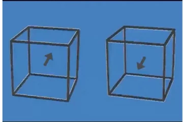 ஒரு நிமிடம் இந்த வீடியோவை பார்த்தால் உங்கள் கண்களை நீங்களே நம்ப மாட்டீர்கள்!!