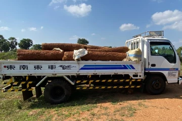 ஒரு தொகுதி முதிரை மரக்குற்றிகளுடன் இருவர் கைது(Photos)