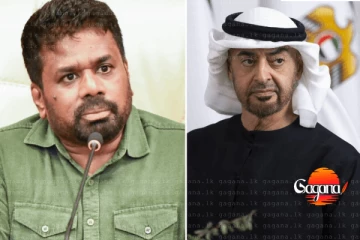 UAE ජනාධිපතිවරයාට ජනාධිපති AKD කතා කරයි - කඩිනම් මානුෂීය ආධාර දීපු එකටත් ස්තූතියි කියයි