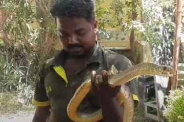 பாம்பு கடித்தால் உடனே என்ன செய்ய வேண்டும்? இந்த தவறை செய்யாதீங்க