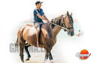 මේ දිනවල රජයෙන් පොලිස් අශ්වයන් සීතල කරයි!