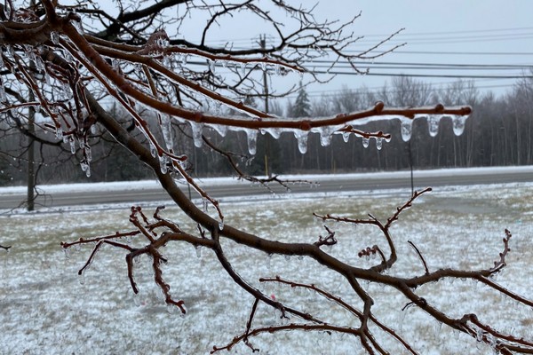 கனடாவின் இந்தப் பகுதிகளில் காலநிலை குறித்து அவசர எச்சரிக்கை | Freezing Rain Warning In Place For Nova Scotia