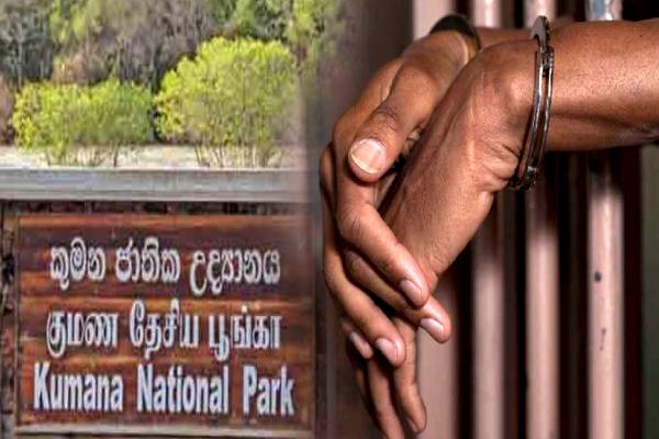 குமண தேசிய பூங்காவிற்குள் வேட்டையாடியவர் கைது! தீவிரப்படுத்தப்படும் விசாரணை | Poachers Arrested Inside Kumana National Park