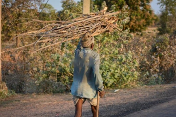 விறகு தேடி சென்றவருக்கு நேர்ந்த கதி!