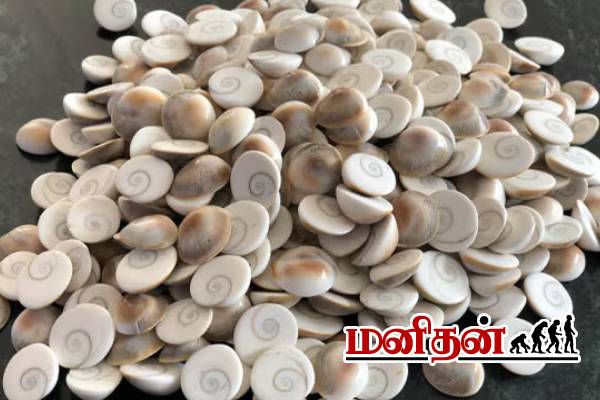 இழந்த பணத்தை வீட்டிற்கே கொண்டு வரும் பரிகாரம்.. தவறினால் கிடைக்காது! | Remedy For Getting Money Back Astrology இழந்த பணத்தை வீட்டிற்கே கொண்டு வரும் பரிகாரம்.. தவறினால் கிடைக்காது! | Remedy For Getting Money Back Astrology