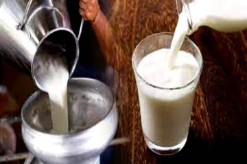 டீ போடும் பாலில் கலப்படம் இருப்பதை கண்டுபிடிக்க ஒரு டிப்ஸ்! வாங்க பார்க்கலாம்..