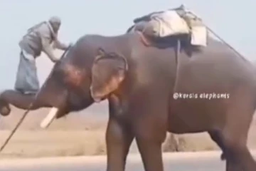 நிஜ பாகுபலியாக மாறிய தாத்தா....இந்த வயசுலயும் இப்படியா? சினிமாவையும் மிஞ்சிய நிஜ காட்சி