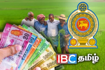 விவசாயிகளின் பெருந்தொகை நெல் தொடர்பில் வெளியான தகவல்