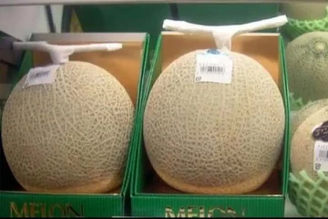 இந்த ஒரு பழத்தின் விலை இத்தனை லட்சமா? அரை கிலோ தங்கமே வாங்கிடலாமாம்