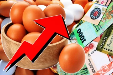 யாழில் உச்சம் தொட்ட முட்டை விலை...!