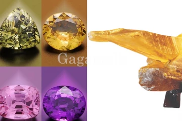 මෙරටින් හමු වූ මිල කළ නොහැකි පළිඟු මැණික.