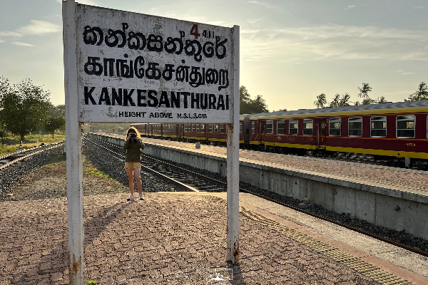 யாழில் பெண் உத்தியோகத்தரிடம் மோசமாக நடந்துகொண்ட பதில் பொலிஸ் பொறுப்பதிகாரி | Jaffna Balali Police Station Police