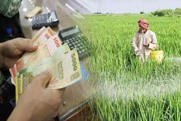 கிளிநொச்சியில் சிறுபோக நெற்செய்கையாளர்களுக்கு வழங்கப்பட்டுள்ள பசளை மானியம்