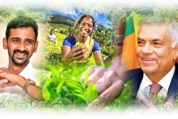 'மலையகம் - 200' பெருவிழா - ஜீவன் தொண்டமான் முன்வைத்த அமைச்சரவை பத்திரத்திற்கு அனுமதி