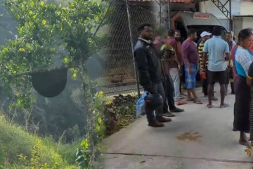 ஹட்டனில் குளவி கொட்டு இலக்கான 17 பேர் வைத்தியசாலையில் அனுமதி