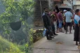ஹட்டனில் குளவி கொட்டு இலக்கான 17 பேர் வைத்தியசாலையில் அனுமதி