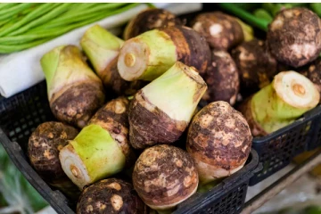 சேப்பங்கிழங்கு சாப்பிட்டால் சாகும் வரை கண் கோளாறுகள் நெருங்கவே நெருங்காது