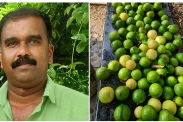 வெளிநாட்டு வேலையை உதறிவிட்டு சொந்த ஊரில் லட்சங்களில் வருமானம் ஈட்டும் நபர்! புகைப்படங்கள்