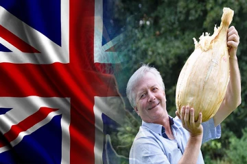 உலக சாதனை படைத்துள்ள வெங்காயம்