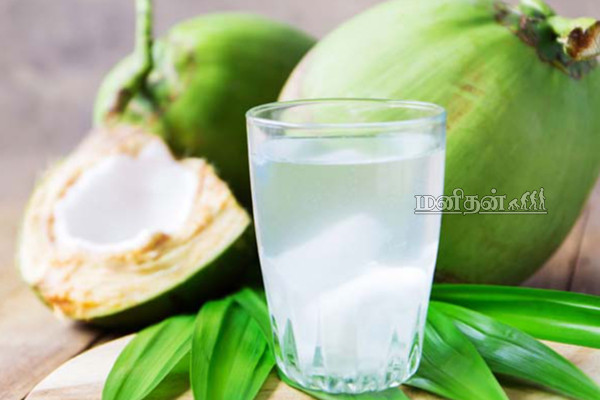 காய்ச்சலின் போது இளநீர் பருகுவது ஆரோக்கியமா? மருத்துவரின் பதில் இதோ | Coconut Water For Fever Benefits And Precautions