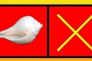 தமிழர்களின் சங்கறுத்தவர்கள் சங்கில் வருகிறார்கள்!