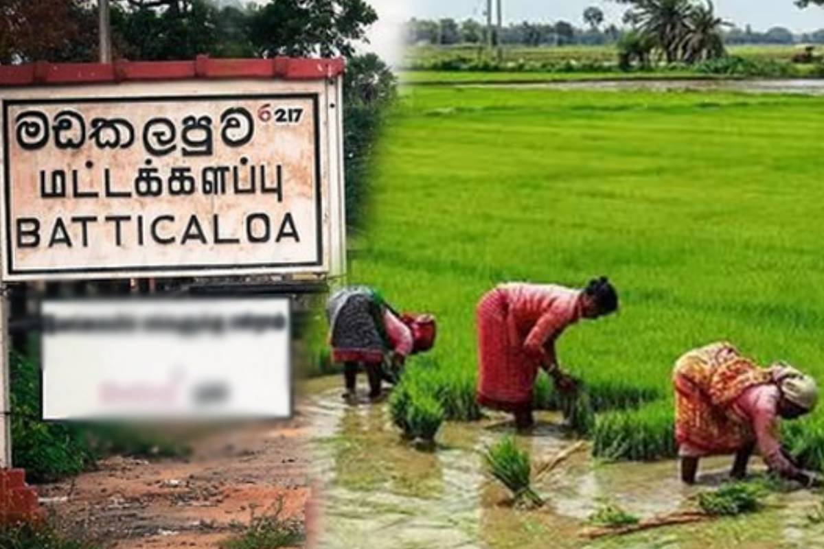 ஜனாதிபதியின் திட்டங்களில் விவசாயத்திற்கு முக்கியத்துவம் இல்லை..! சி. பரமேஸ்வரநாதன் குற்றச்சாட்டு | No Major Changes In The Agricultural Sector