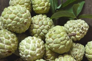 புகைப்பழக்கம் உள்ளவர்களுக்கும் மது அருந்துபவர்களுக்கும் நிவாரணியாக இருக்கும் அற்புத பழம்